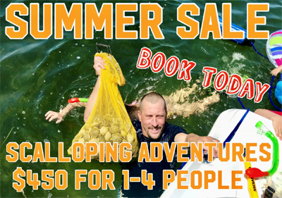 SCALLOPING 2024
